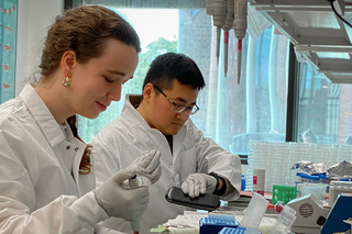 People working at lab bench
