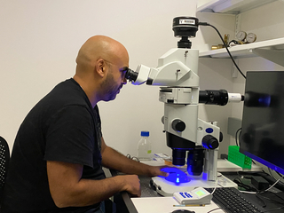 A person looking into a microscope